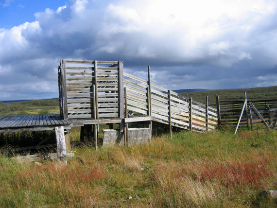 Lasterampe ved et reingjerde.