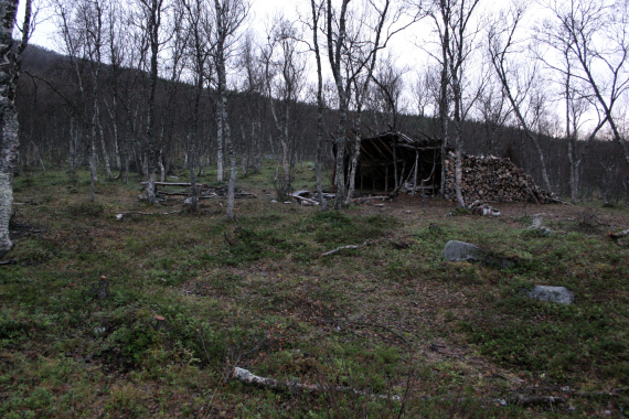 En gapahuk i skogen.