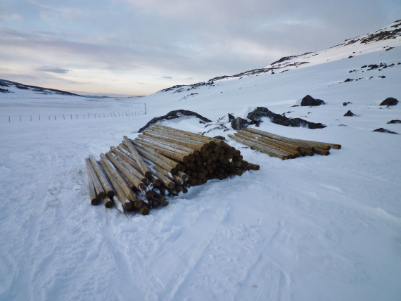 Mange stolper liggende på snøen.