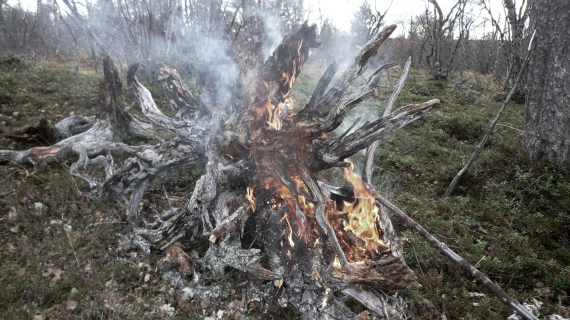 Foto av bål ute i naturen.