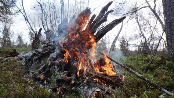 Bål ute om sommeren.