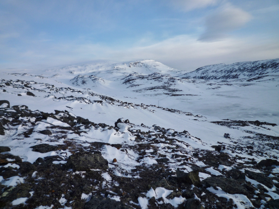 Foto av viddelandskap om vårvinteren.