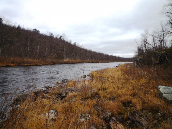 Elv om høsten.