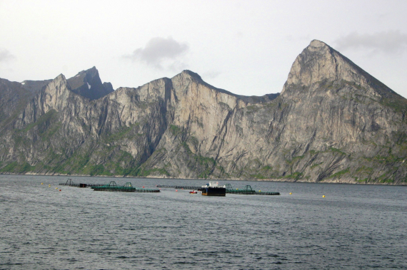 Foto av fiskeoppdrett på sjøen mellom høge fjell.