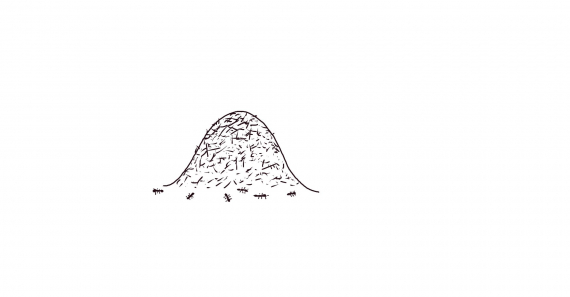 Tegning av en maurtue.