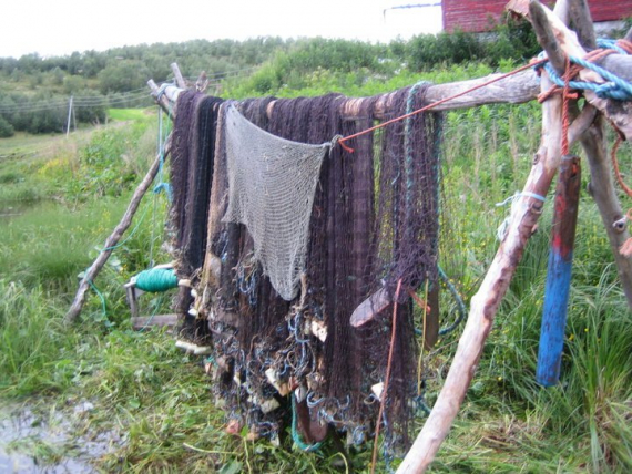 Bilde av en not til tørk på en Holga.