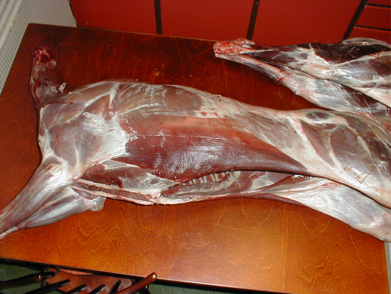 Upartert skrott på en benk.