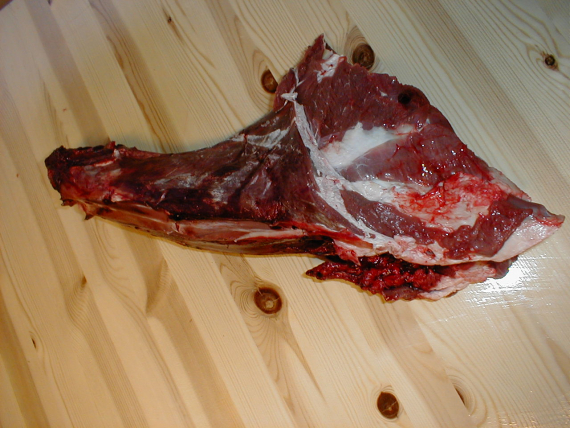 Partert reinsdyr, her bilde av halsen.