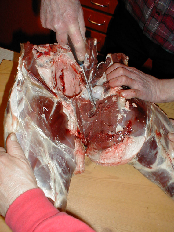 Partering av en reinsrott.