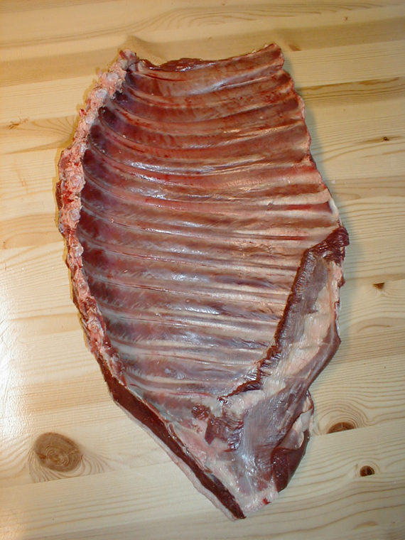 Partert reinsdyr, her bilde av siden.