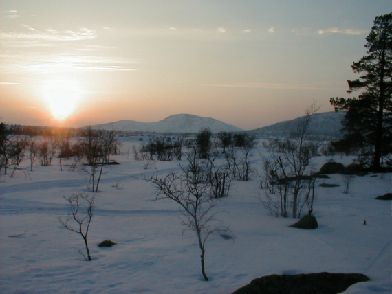 Bilde av sola som går opp om våren.