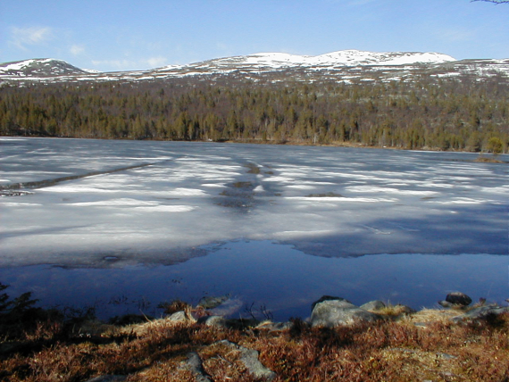 Bilde av en innsjø om våren, dårlig is.