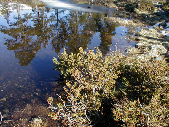 Fjellvann avbildet om våren, enda litt is.