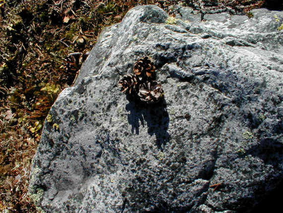 Tre kongler på en stein.