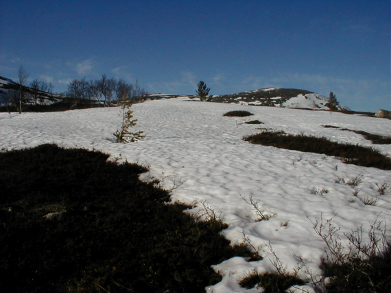 Barflekker om våren.