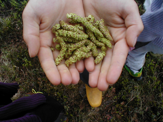 To hender som holder frem en håndfull med skudd.