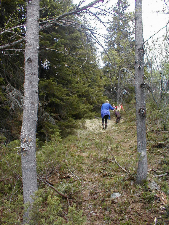 To personer går opp en sti i skogen.