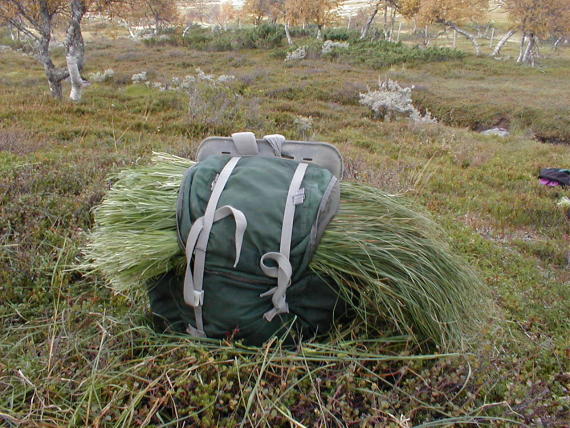 Sennagress pakket i en sekk.