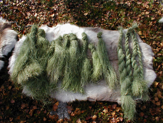 Sennagress i bunter på et reinskinn.