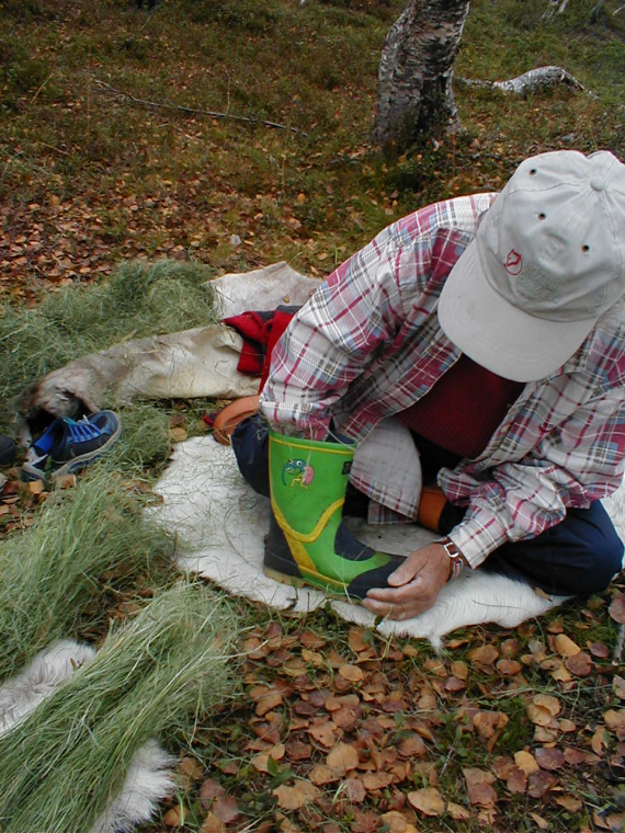Bilde av noen som fyller skko med sennagress.