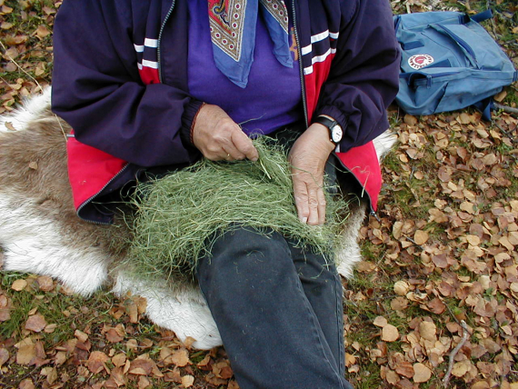 Noen arbeider med sennagrgess.