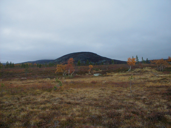 Vidde med fjell i bakgrunn.
