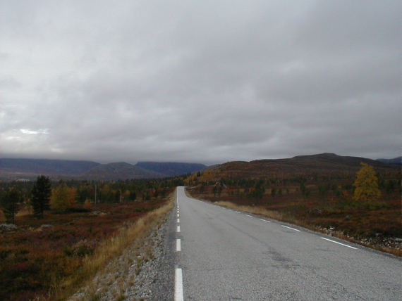 Bilvei i høstlige omgivelser.