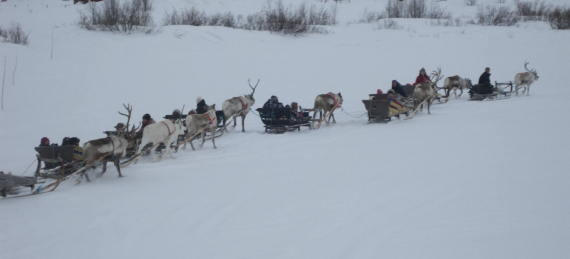 Bilde av en reinsdyrsraid.