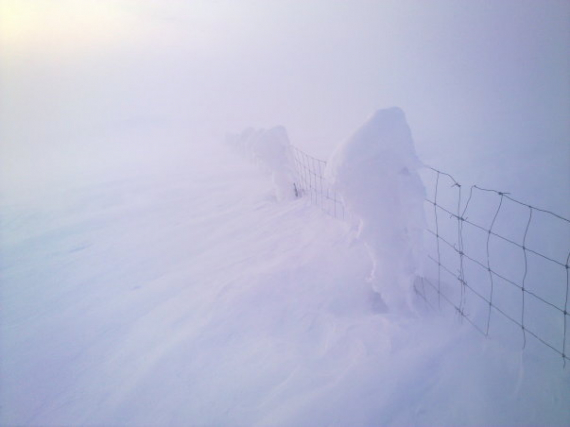 Bilde av gjerde på vidda om vinteren.