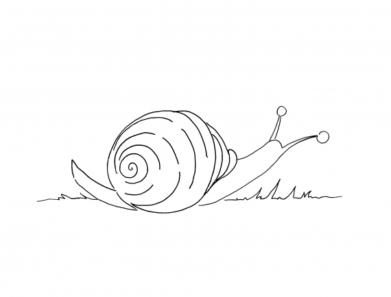 Snegle er på bakken.