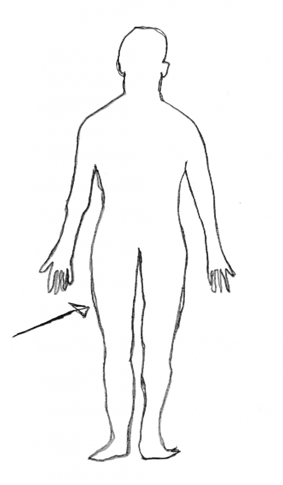 Tegning av et menneske med fokus på låret.