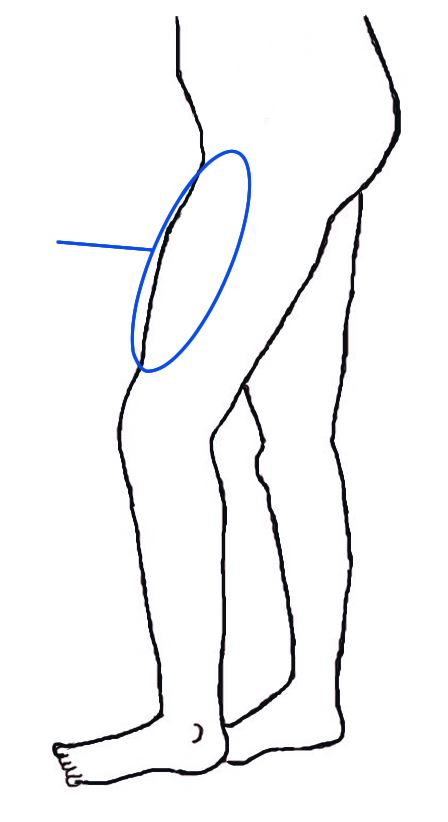 Tegning av underkroppen med fokus på låret.