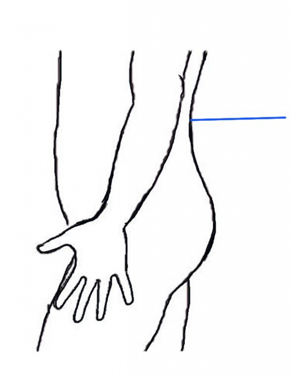 Tegning av en kropp med fokus på ryggen.
