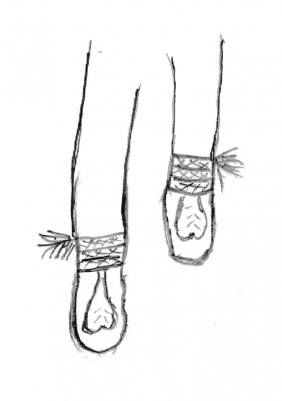 Tegning av skaller med skallebånd og dusker.