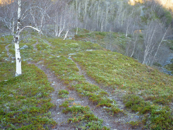 Bilde av stier på fjellet.