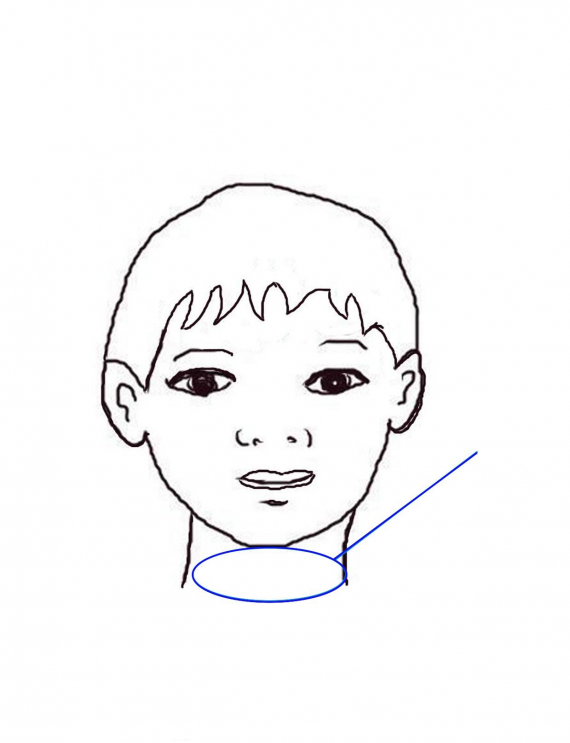 Tegning av et hode med fokus på halsen.