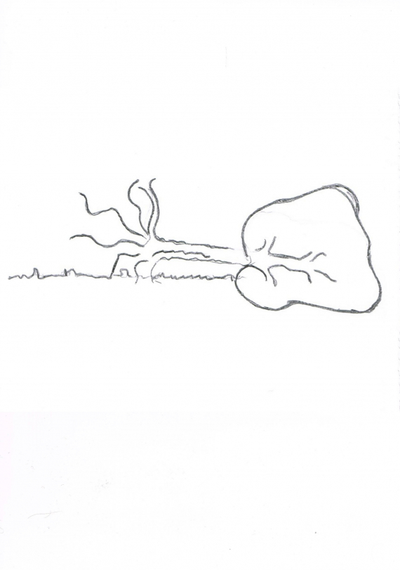 Tegning av et vindfelt tre.