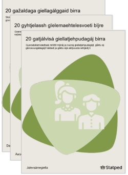 Tre kartleggingsskjemaer med 20 spørsmål