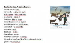 Bilde av ordliste til boka Nejpien faamoe
