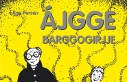 Ájgge barggogirjje
