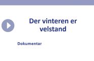 Der vinteren er velstand