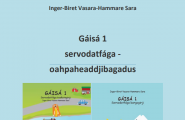 bok Gáisá 1 - Oahpaheaddjibagadus
