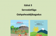 Gáisá 3 - Oahpaheaddjibagadus