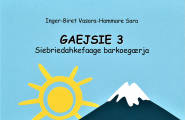 Gaejsie 3 - Siebriedahkefaage barkoegærja