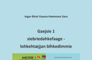 Gaejsie 1 - Lohkehtæjjan bïhkedimmie