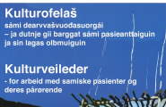 Kulturveileder