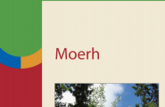 Moerh