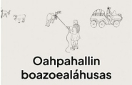Oahpahallin boazoealáhusas