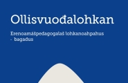 Spesialpedagogisk leseopplæring