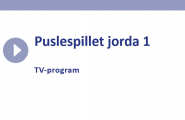 film Puslespillet jorda 1